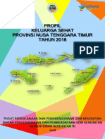 Profil KS Provinsi NTT Tahun 2018