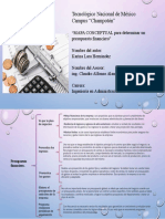 2 Cuadro Sinoptico Determinar Presupuesto Financiero - 074742