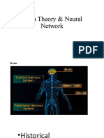 Brain Theory & Neural Network