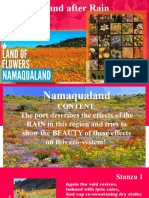 Namaqualand After Rain