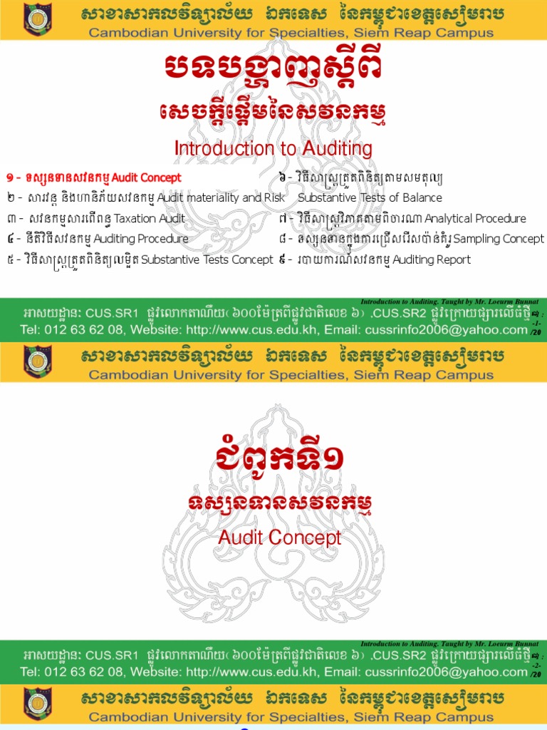 Chapter 1 - Audit Conept | PDF