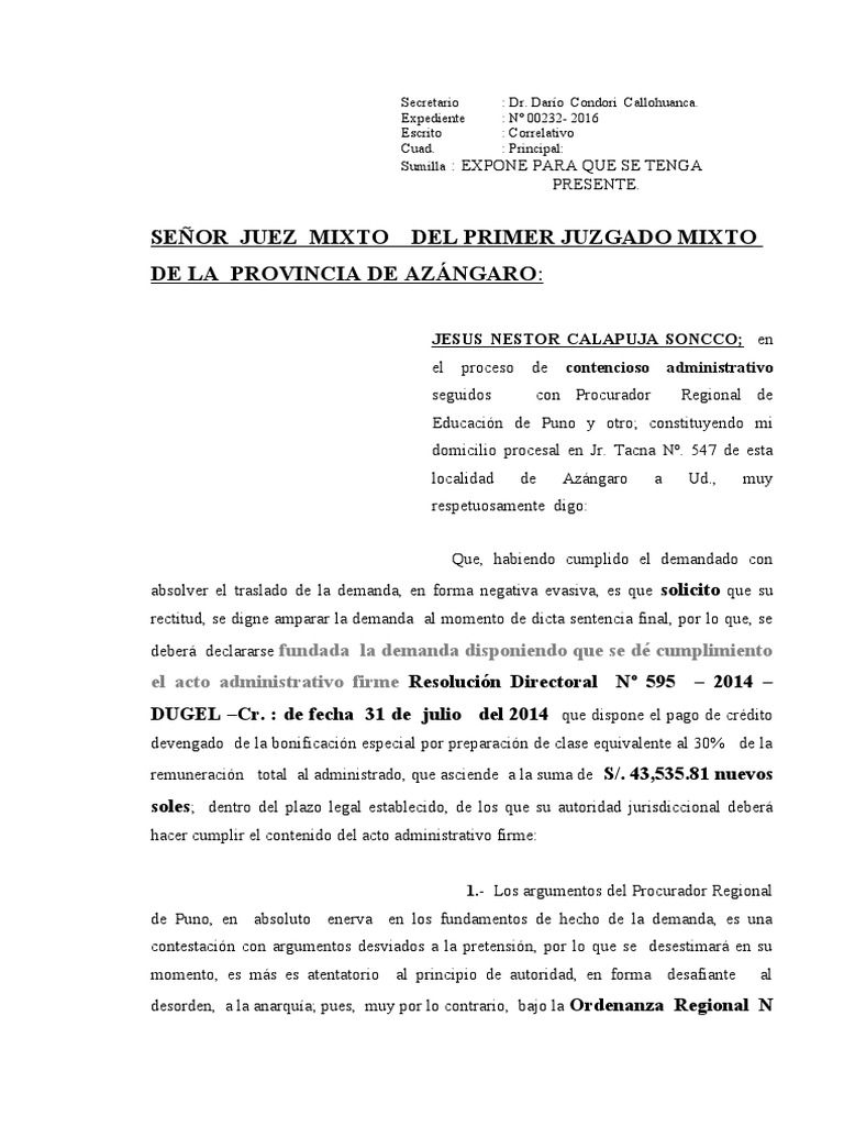 Alegato Donato Dionicio Soncco Leon | PDF | Debido al proceso | Ley ...