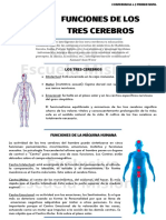 04. Funciones de Los Tres Cerebros