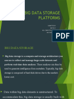 Big Data Storage Platforms