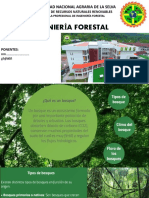 Epif - Proyecion Social