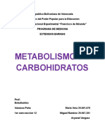 Metabolismo de Los Carbohidratos