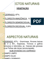 GEOGRAFIA DO TO - ASPECTOS NATURAIS