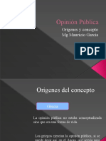 Opinión Pública