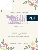 Documento A4  Portada trabajo final de carrera Proyecto Dossier aesthetic infantil orgánico boho handmade a mano floral acuarela pastel