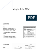 Embriología de La ATM - 16022023