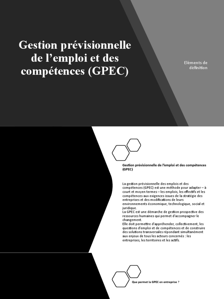 Étapes de la GPEC en entreprise | PDF | Gestion des ressources humaines ...