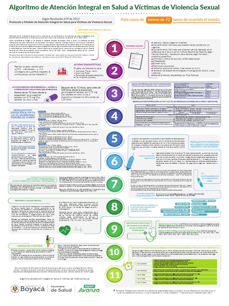Protocolo de Atención a Víctimas de Violencia Sexual | PDF | Hepatitis ...