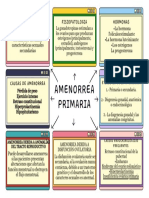 Organizador Grafico Ideas Moderno Multicolor