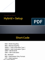 Hybrid + Setup