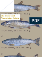 The Brown Trout Nomenclature Debacle With Markup