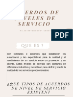 Presentación Sobre Niveles Del Servicio