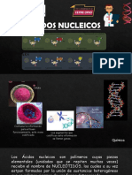 Acidos Nucleicos