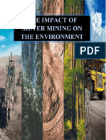 The Silver Impact On The Environment Track Changes