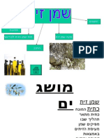 שמן זית