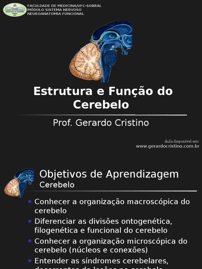 Estrutura e Função do Cerebelo: Uma Análise Detalhada da Organização ...