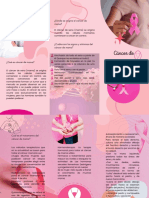 Pink Aesthetic Nails Art Brochure