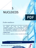 Ácidos Nucleicos