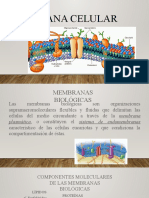 Membrana Plasmatica, Transporte y Biopotenciales 2023