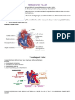 Tetralogy of Fallot Report 1