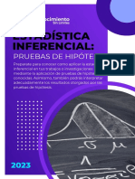 Brochure Estadística Inferencial Pruebas de Hipótesis