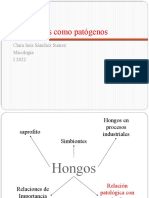 Patogenicidad Hongosi2023