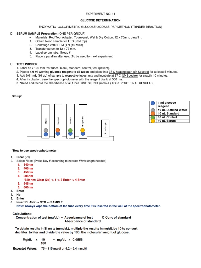 Exp Instructions | Download Free PDF | Spectrophotometry | Experiment