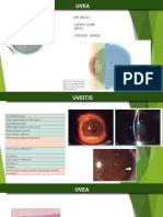 Anatomia Del Ojo 3p 14-23