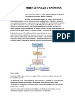 Diferencias Entre Neoplasia y Apoptosis