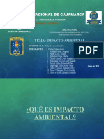 Universidad Nacional de Cajamarca: Tema: Impacto Ambiental