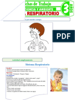 Sistema Respiratorio para Ninos de 3 Anos 1