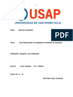 Caso Relacionado Al Derecho Ambiental Honduras