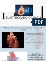 Ekg Basico Ondas-Electrocardiográficas Taller Intriago