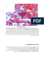 د زیږون د انتاناتو تر ټولو عام لاملونه د TORCH اجنټان Toxoplasma