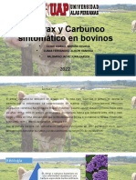 Tema 3. Antrax y Carbunco Sintomatico.x Cet-Tsp-Epmv