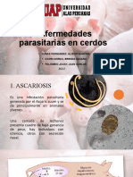 Tema Enfermedades Parasitarias en Cerdos X CET-TSP-EPMV