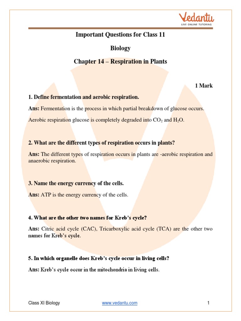 Respiration in Plants: Class 11 Guide | PDF | Cellular Respiration ...