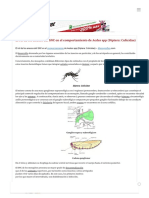 El Rol de Los Anexos Del SNC en El Comportamiento de Aedes SPP (Diptera - Culicidae)