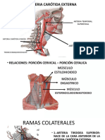 Arteria Carotida Externa Erik Lopez Mamani-2