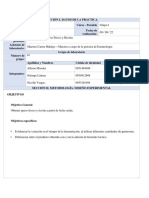 Practica Del Queso Enzimologia Morgas. Grupo 4