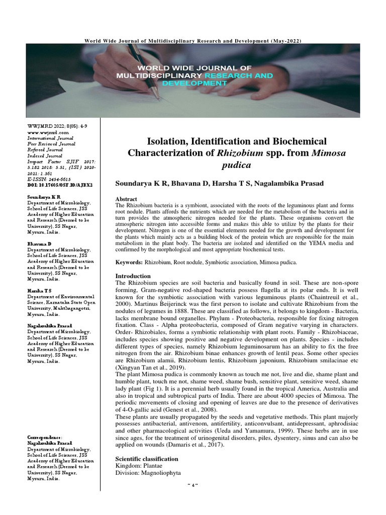 Isolation Identification and Biochemical Characterization of Rhizobium ...