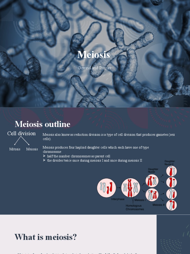 Understanding Meiosis: A Cell Division Guide | PDF | Meiosis | Mitosis