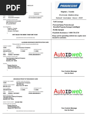 Insurance Card Template (1)