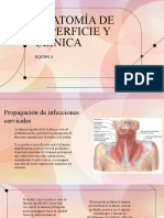 Anatomia de Superficie y Clinica