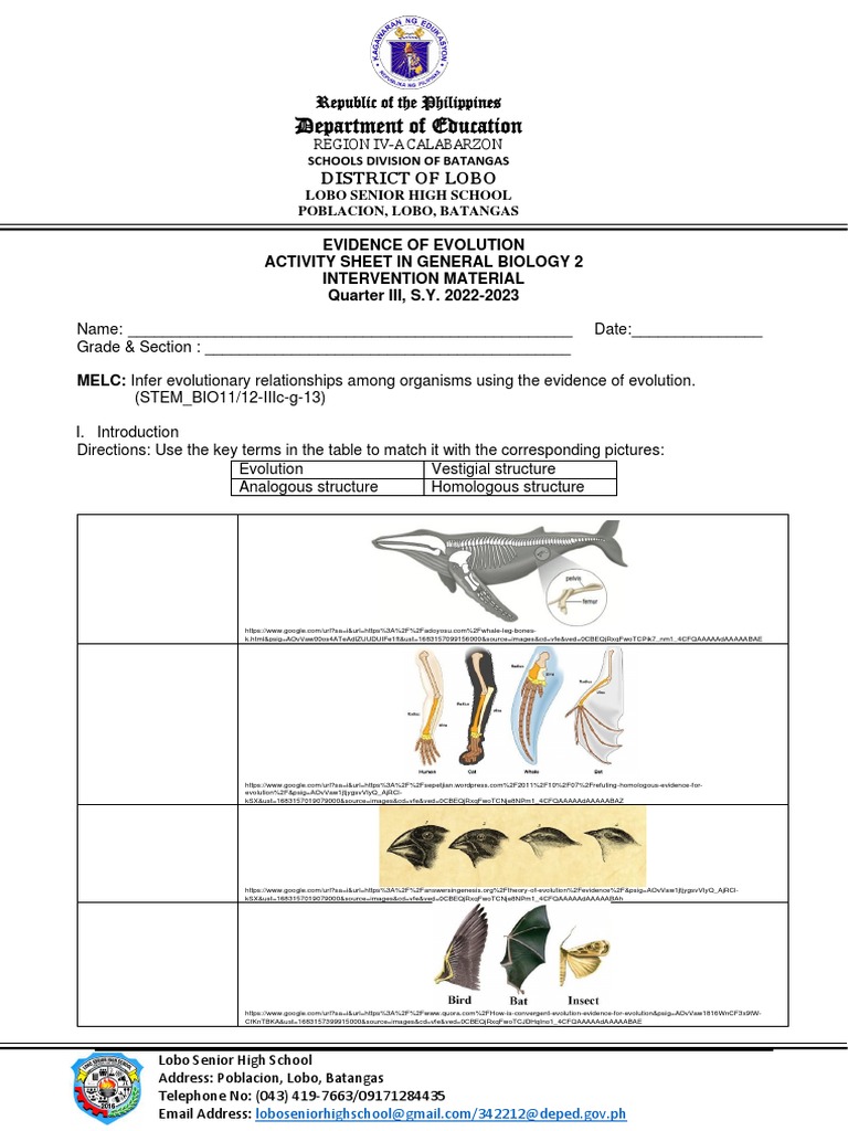 Evidence of Evolution Activity Sheet | PDF | Homology (Biology) | Evolution