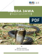 Kobra Jawa_Naja Sputatrix